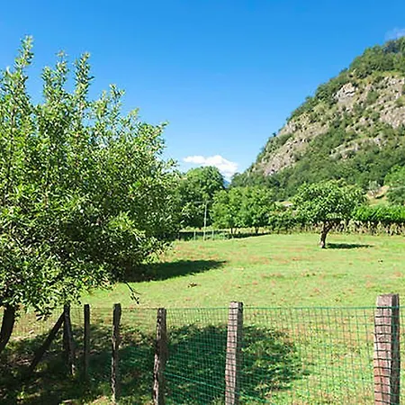 Podere Brughee